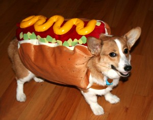 hot dog costume for dogs