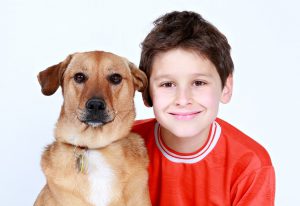 What is a Good Family Dog