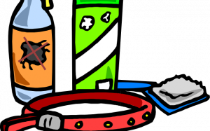 How to Get Rid of Ticks