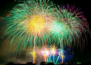 Keep Dog Calm During Fireworks