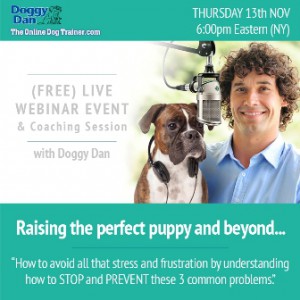 Puppy Training Webinar