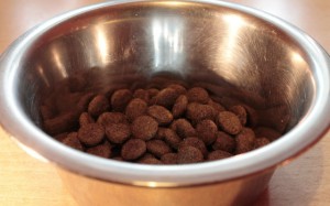 Dog Food and Dog Allergies