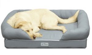 PetFusion Dog Lounge and Bed