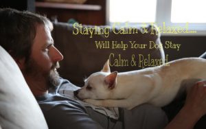 Keep Calm with Your Dog