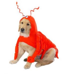 lobster-halloween-costume-for-large-dogs