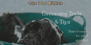 DIY Dog Grooming - 7 Essential Dog Grooming Tools and Tips