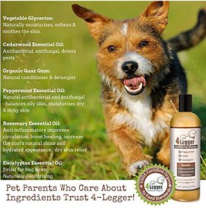 4 Legger Organic Dog Shampoo Essential Oils benefits for dogs with itchy skin