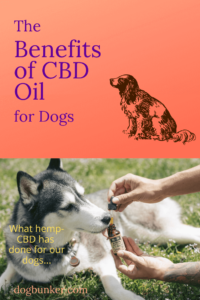The Benefits of CBD Oil for Dogs